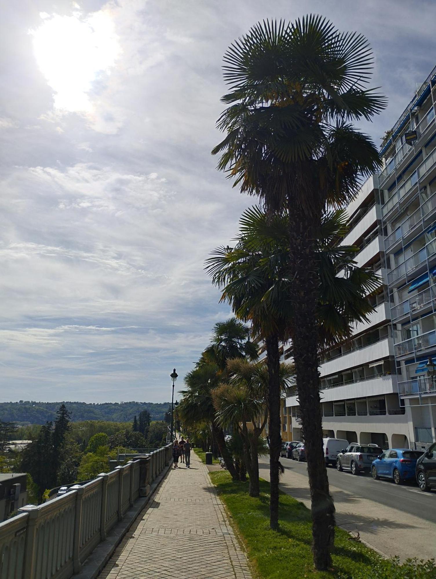 Chambrette Boulevard Des Pyrenees Hypercentre 10M Carre Wc Sur Le Palier, Porte40 Pau Exterior photo